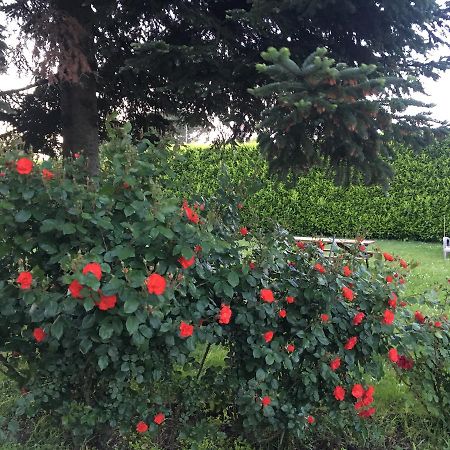 Villa Toscana Il Pino Lucca Luaran gambar