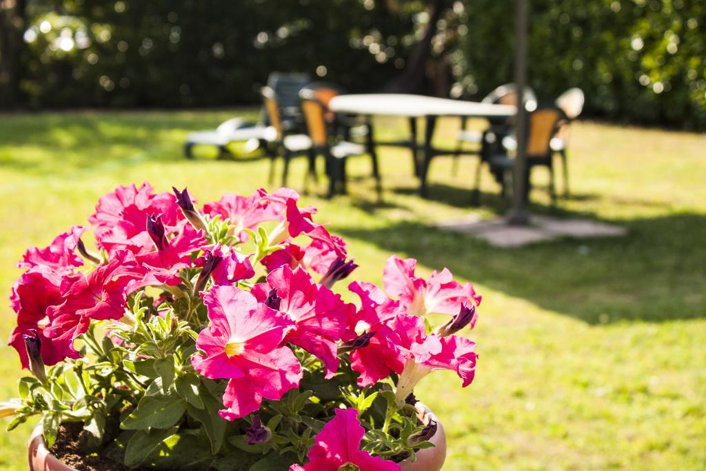 Villa Toscana Il Pino Lucca Luaran gambar