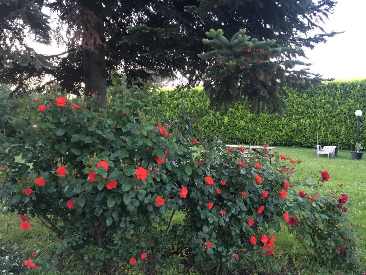 Villa Toscana Il Pino Lucca Luaran gambar